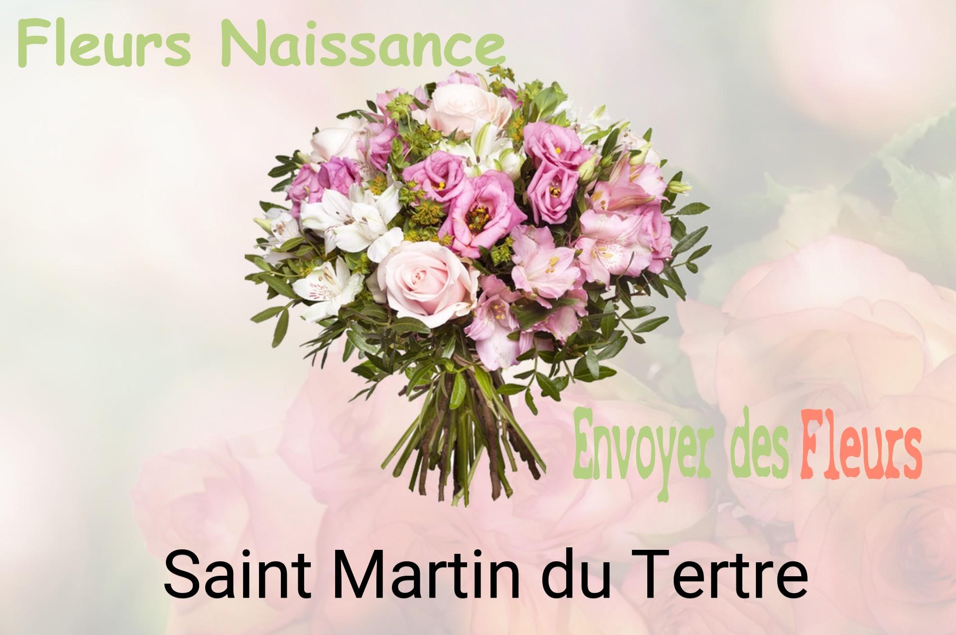 Bouquet de fleurs de naissance livré à Saint-Martin-du-Tertre